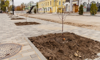 Илья Варламов назвал реконструкцию Петровской в Таганроге "Унылым г**ом"