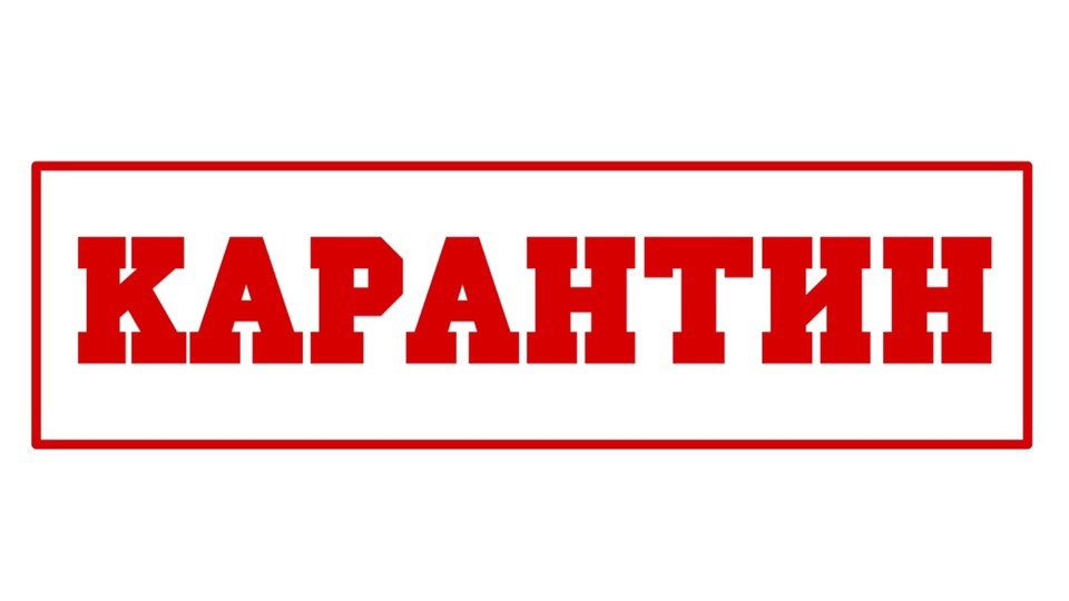 Власти пообещали отправлять на карантин приезжающих в Ростовскую область